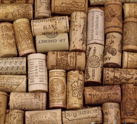 A blog from a 20ish guy who talks about wine a bit too much.