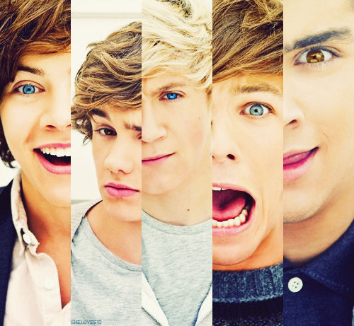 Follow if your a fan of one direction but mostly niall *parody* account