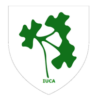 IrishUniCricketAssoc(@IrishUniCricket) 's Twitter Profile Photo