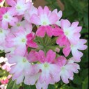 Barbara Kobe - @BarbaraKobe - Twitter