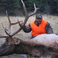 Doug Emerson (@dougemerson2) 's Twitter Profile
