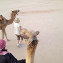 Sally Crowder - @ibspaddler - Twitter