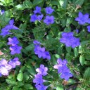 Pat Stroud - @PCStroud - Twitter