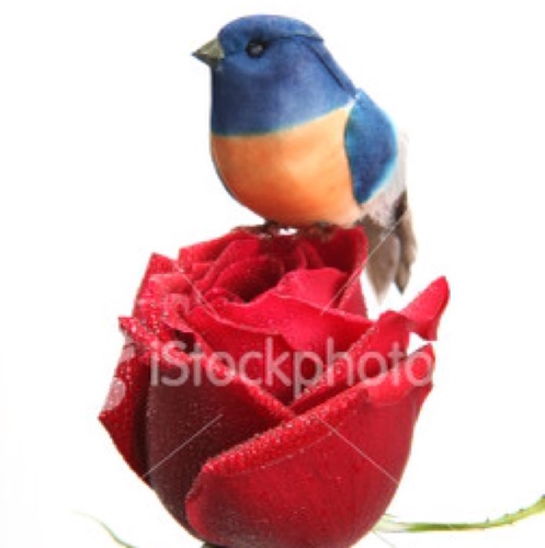 nassem2012's profile picture. 