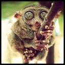 Kyra Li - @Kaystoli - Twitter