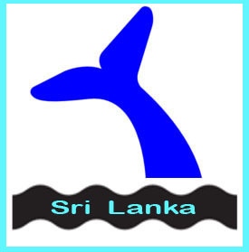 According to many experts in the field that the deep southern waters off Sri Lanka [ off Dondra point] is the best in the world for seeing Blue Whales
