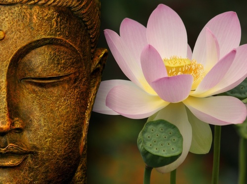 Authentic • Idealist • Libra • Inspirational • Searcher • INFP • Author • Green • Buddhist • Power of Positive Thought • Latest article:http://t.co/ktxS7pQm