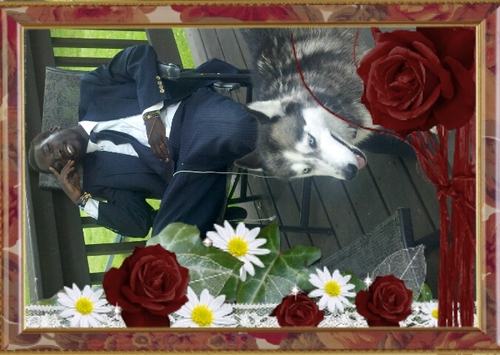 RobenZero's profile picture. 