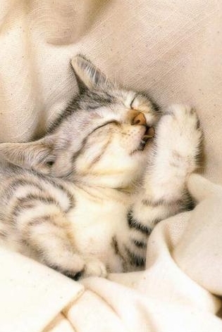 Toit_Run's profile picture. 감정을 이야기하고 생각을 나눌 수 있는 사람들을 만나고 싶습니다.