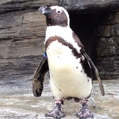 naaachang's profile picture. 