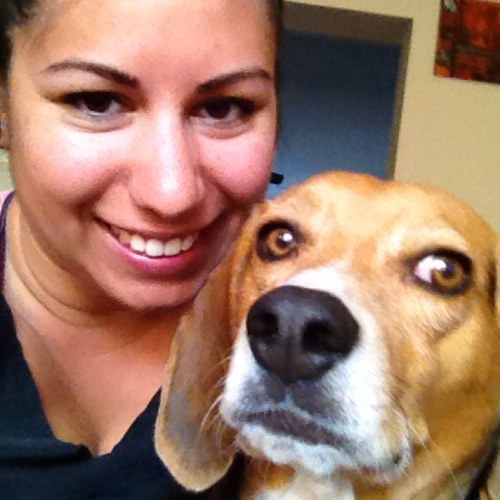 CParayko's profile picture. 