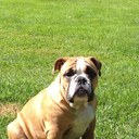 jan karlsson - @jankarlsson1 - Twitter