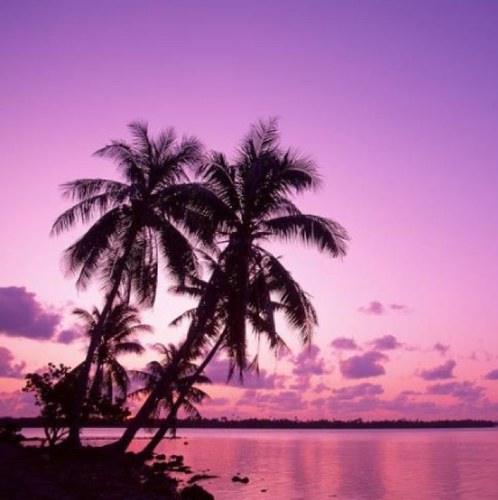 JustinBelcourt1's profile picture. 