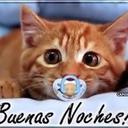 jesus abel (@119Gato) Twitter