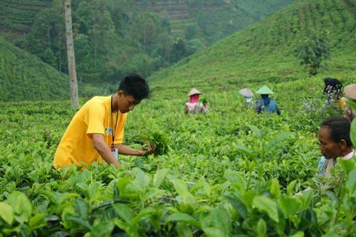 diansyahgilang's profile picture. Jadi diri sendiri , fokus pada tujuan , road to japan