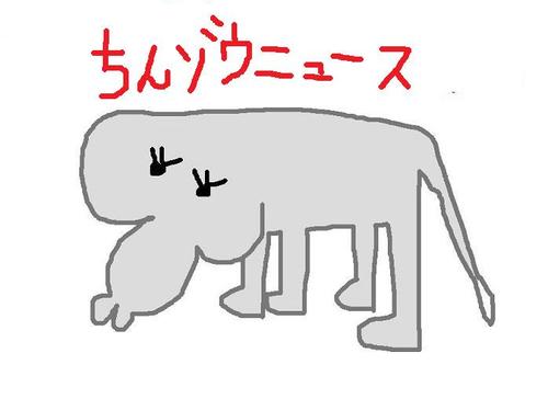 世界で起きたおバカなニュース、真面目なニュースをお伝えします。どうでもいい事をつぶやく事もあります。
ちんゾウニュースブログはこちらです→http://t.co/icRaQLNUfx　