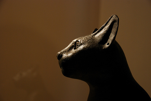 The Great Catさんのプロフィール画像