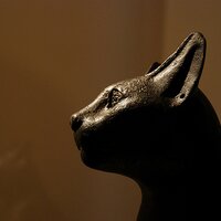 The Great Cat(@TheGreatCat1) 's Twitter Profile Photo