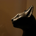 The Great Cat (@thegreatcat1) Twitter profile photo The Great Cat (@thegreatcat1) Twitter profile photo