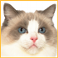 タマチャン (@tamantan_ginza) 's Twitter Profile Photo