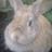 JesusEspejoA's profile image