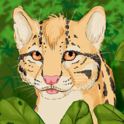 Zorchak's profile picture. Мявчик - пухнастик