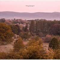 Being Strangers (@beingstrangers) 's Twitter Profile