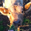 Tom Travers - @tomtravers99 - Twitter