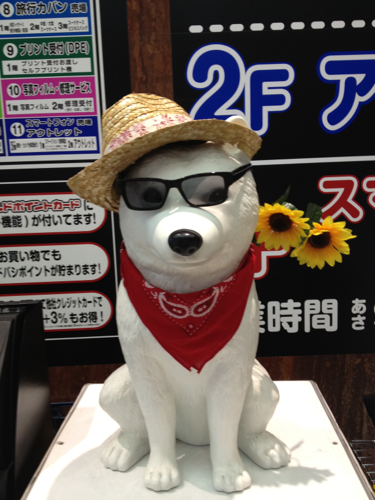 小売りの会社立ち上げヘルプ中。情シス欲しい
