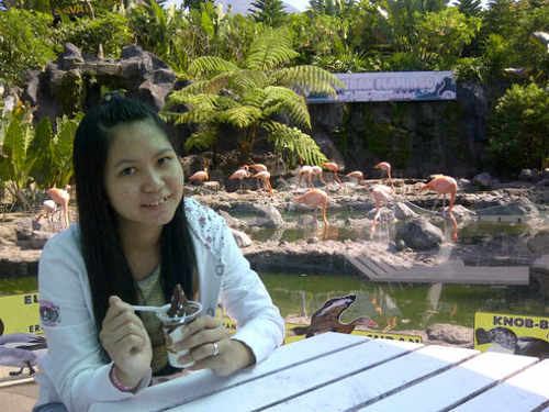 cnenobais's profile picture. FKUI 2012