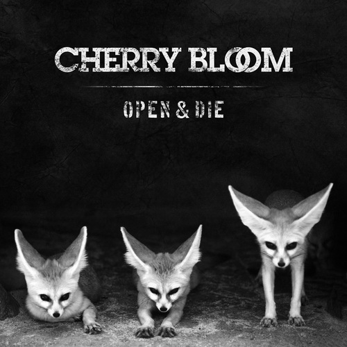 cherrybloomband's profile picture. A two-piece alternative rock band. New album 'Open & Die' available NOW on iTunes!