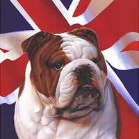 Peter St-George (@peterstgeorge1) 's Twitter Profile