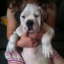 leanne barnes - @leanne_barnes - Twitter