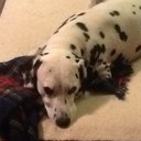 David Watson - @Dwatsoncrg - Twitter