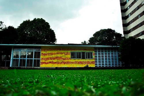 museulagreca's profile picture. 