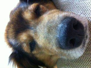 daifukuhukumaru's profile picture. はじめまして！