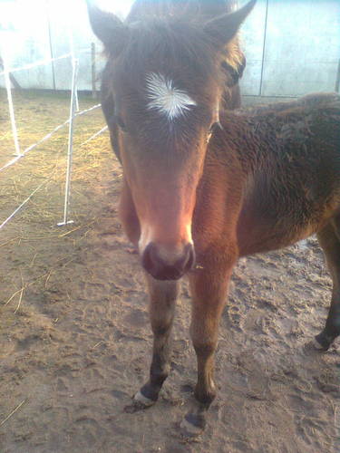 kaskeie's profile picture. Sykkel og trav