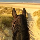 Kate Meyer - @katehorsepro - Twitter