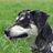 Huracan_Carba's profile image