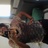 KitaGray's profile image
