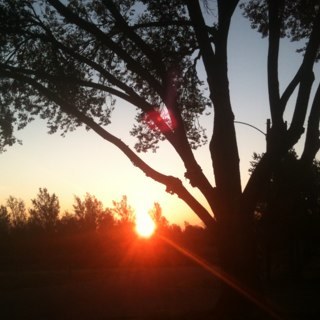 sandygarner318's profile picture. im just me, living life to the fullest!!!