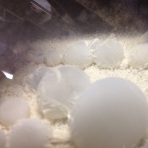 colecorbin's profile picture. 