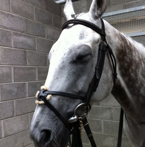 jcmccracing's profile picture. 