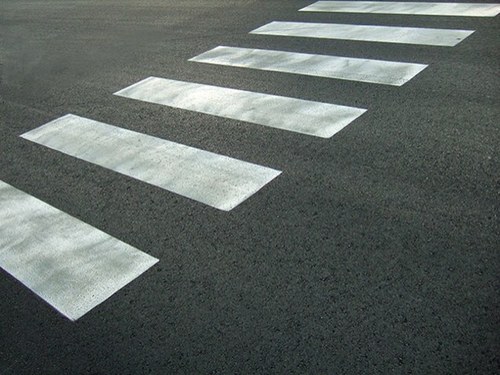 zebrale's profile picture. חובבת עוגיות מגעילות