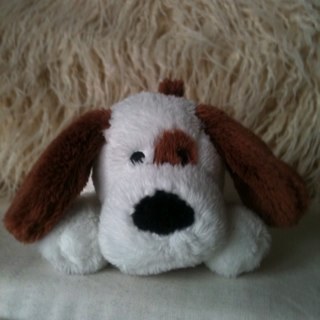 spotscorner's profile picture. Barking up the wrong tree...mostly.