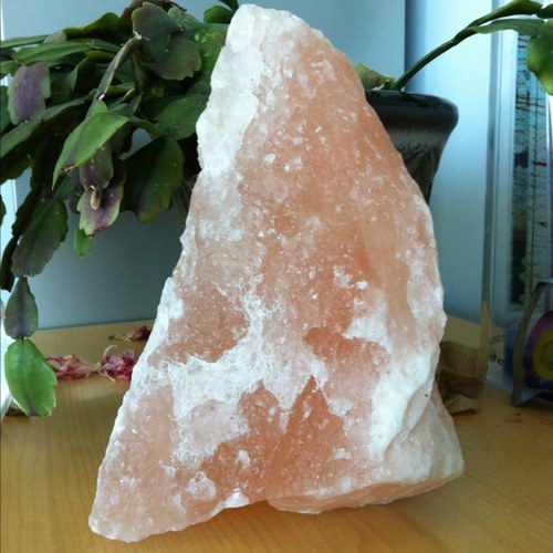 saltyprof's profile picture. 