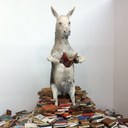 Christophe PETIT - @cpetit88 - Twitter