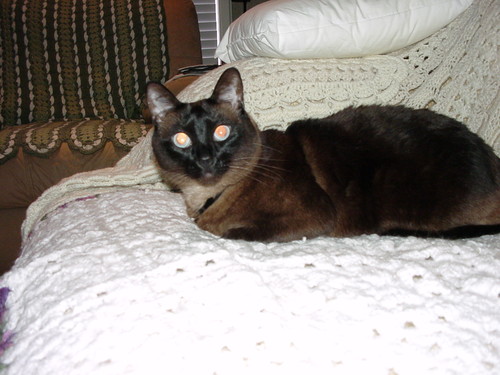 BeebeCreations's profile picture. I am wife, mother, creative individual, crocheter, machine embroider and artist, I like colorful things. New to Twitter.