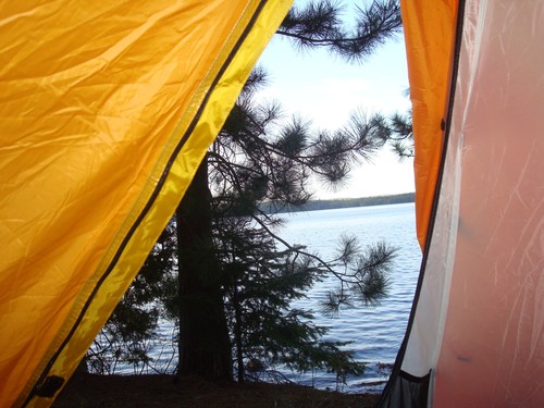 RobRennie1's profile picture. 