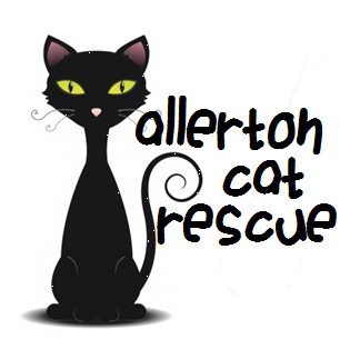 Allerton Cat Rescue is a non profit sanctuary for felines either abandoned, mistreated or otherwise between homes. All are looking for a warm, loving home.